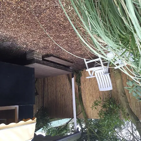 Bed and Breakfast Pipowagen De Mees Μπέργκεν